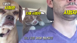 1분만_면허 포기